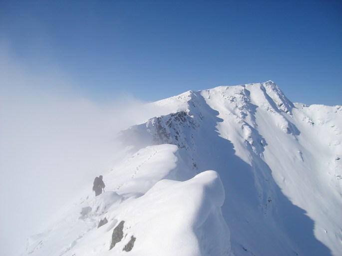 21380969496_bc413c1006_o