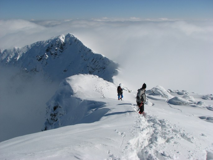 21381047966_02f0419a80_o