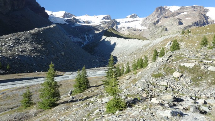 21622201675_8fec29d188_o