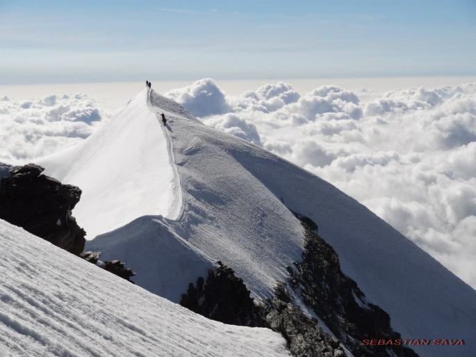 246589_438498042858534_1650453197_n