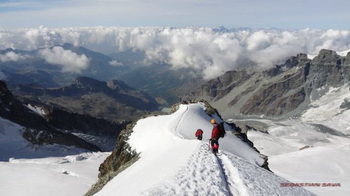 602573_454995731208765_1394990063_n