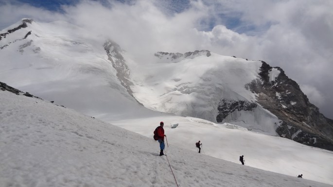 21002537523_37cee25f81_o