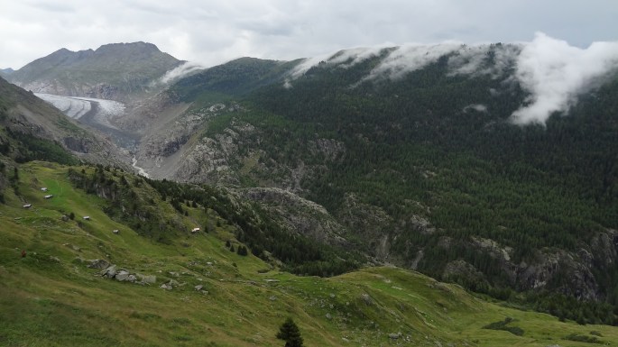 21403965488_10e4c43b3d_o