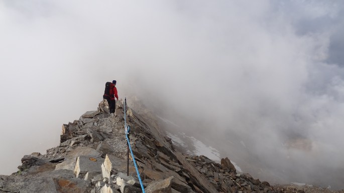 21436445138_87fb080726_o