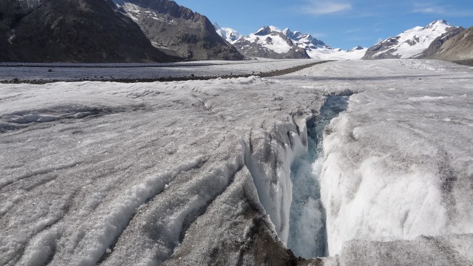 21564416926_b19f6eb64a_o