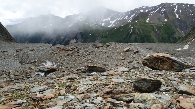 28682022346_f766f166c1_o