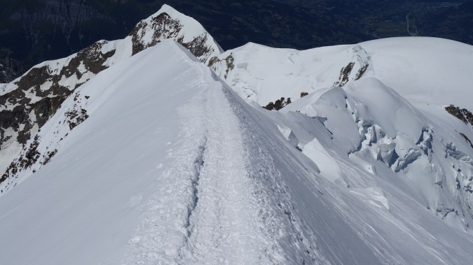 28159899834_94c96d9669_o